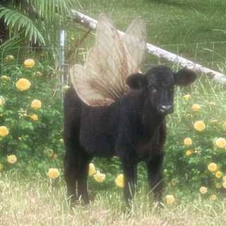 Логотип @sunofblossom - Sunflower🍂