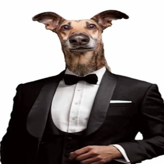 Логотип @sunrise2k - САНРАЙЗ 🤙🏻