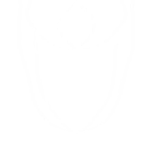 Логотип @sunrisemir - 𝒔𝒖𝒏𝒓𝒊𝒔𝒆 𝒎𝒔