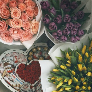 Логотип @sunshine_sunn - DI