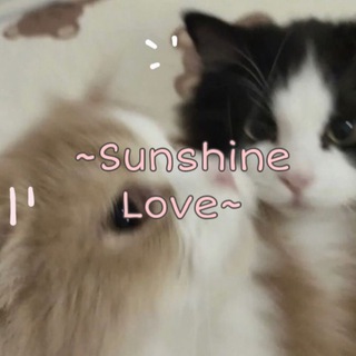 Логотип @sunshinelovefor - Sunshine love | cute place