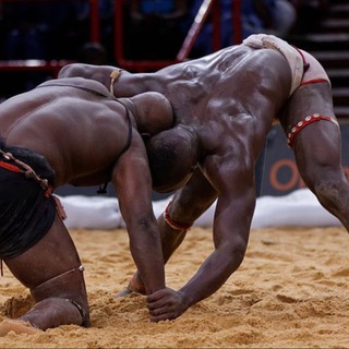 Логотип @sunulamb - Sunu lamb