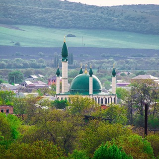 Логотип @sunzha_interesnoe - Сунжа | Новости | Недвижимость