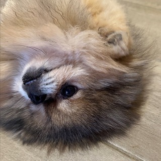 Логотип @superbasya - БАСЯ РАССКАЖЕТ