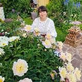 СУПЕР - ОТПУСК на ДАЧЕ