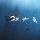 Логотип @supsiriussochi - Сочи Сириус