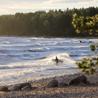 Логотип @surfing_chat - Чат русского сёрфинга