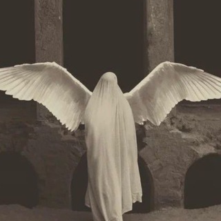 Логотип @suriyakair - s u r i y a