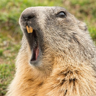 Логотип @surockkk - suROCK 🎸