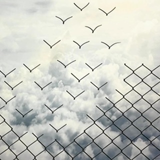 Логотип @survival_bias - Ошибка выжившего