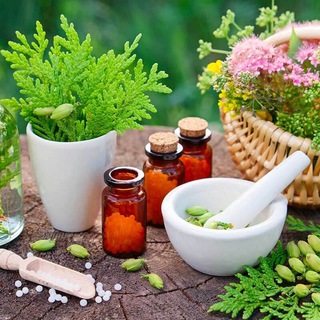 Логотип @survival_health - Survival Health