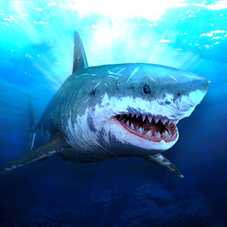 Логотип @survive_on_raft_ru - Survive on Raft (RU)