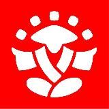 Суши Мастер — всё получится