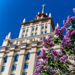 Логотип @susu_chat - ЮУрГУ Чат