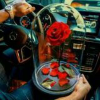 Логотип @suvtagidamarmartow - QALBIM GAVHARI