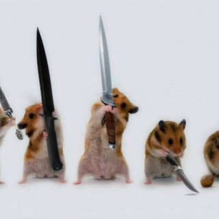 Логотип @suzannamonamor - Suzanna и хомячки-неадекваты