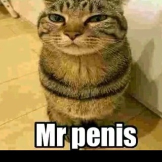 Логотип @suzichdd - SUZICH