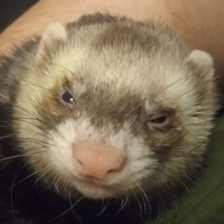 Логотип @svalka4ertill - Свалка 4ертил