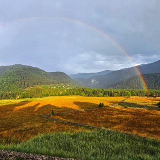 Логотип @svanetige - Энциклопедия Сванети