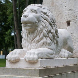 Логотип @svasiliev - SVasiliev