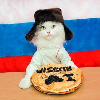 Логотип @svblivechat - Живой СVободный обсуждения