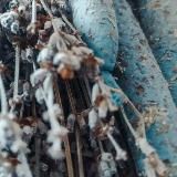 Логотип @svechaandmagia - Soul Surgeon