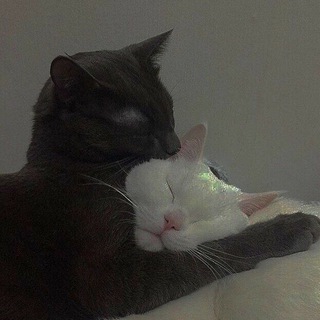 Логотип @sventines - 👁️ милый канал 👁️