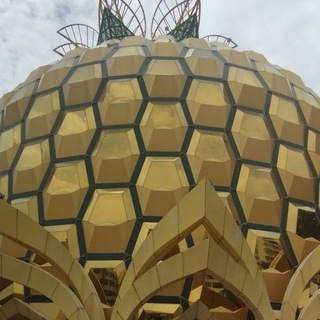 Логотип @svetalenas1 - Обсуждаем, делимся историями и ответами, и благодарим❤️