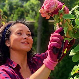 Логотип @svetiksemicvetik_ru - Светик Семицветик 🌹