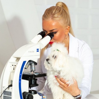 Логотип @svetlana_labpoisk - Лабораторная диагностика