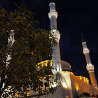 Логотип @svetvdushee - Cnacmu