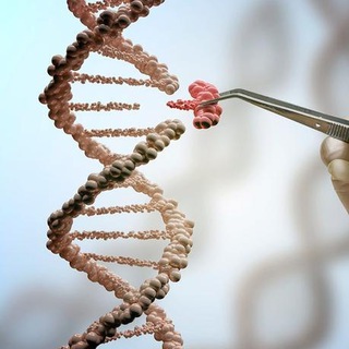 Логотип @svidmal - НЕМАЛЫШЕВА