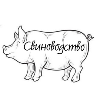 Логотип @svininkadv - Свиноводство