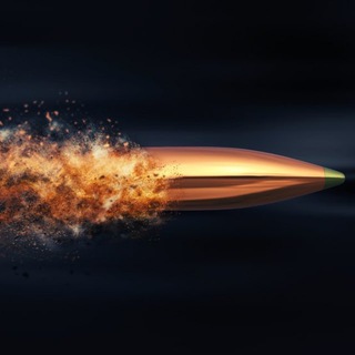 Логотип @svinthom_propaxhlo - Свинцом пропахло