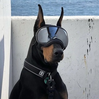 Логотип @svo3kuno - SvoeKиno🕸