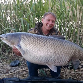 Логотип @svoboda_fish - База отдыха Свобода