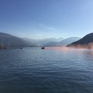 Логотип @svobodauma - Свобода ума