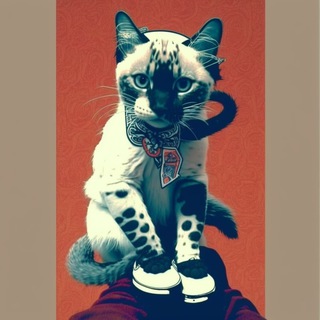 Логотип @svobodnyi_neko - Свободный Кот