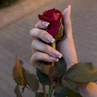 Логотип @svoenravnaa - ...