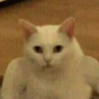 Логотип @svoikirovskiy_chat - Свойкировский Чат