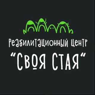 Логотип @svoyastaya - РЦ «СВОЯ СТАЯ»
