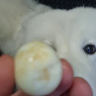 Логотип @svspw - svspw