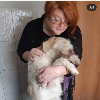 Логотип @svyatobor161 - Svyatobor161