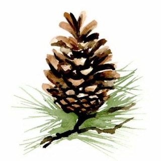 Логотип @sw_irk - СибЗдрав предупреждает