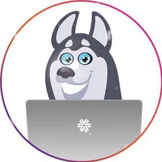 Логотип @sw_kras - SW_Krasnoyarsk_LIVESTORE