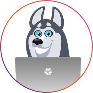 Логотип @sw_nvkz - SW_Novokuznetsk_LIVESTORE☀️