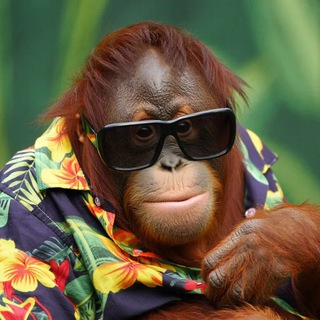 Логотип @sweetbaboons - Сладкие бабуны 🐵🍌