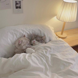 Логотип @sweettems - Милые темы| you’r