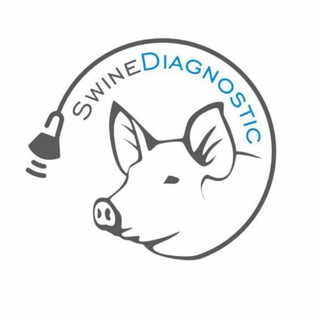 Логотип @swinediagnostic - Об УЗИ и не только!