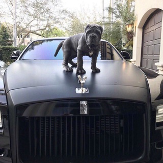 Логотип @swiss48_music_bar - 🔊Swiss 48 MUSIC BAR🔊